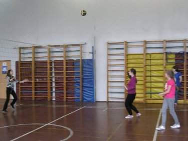 volleyball2105.jpg